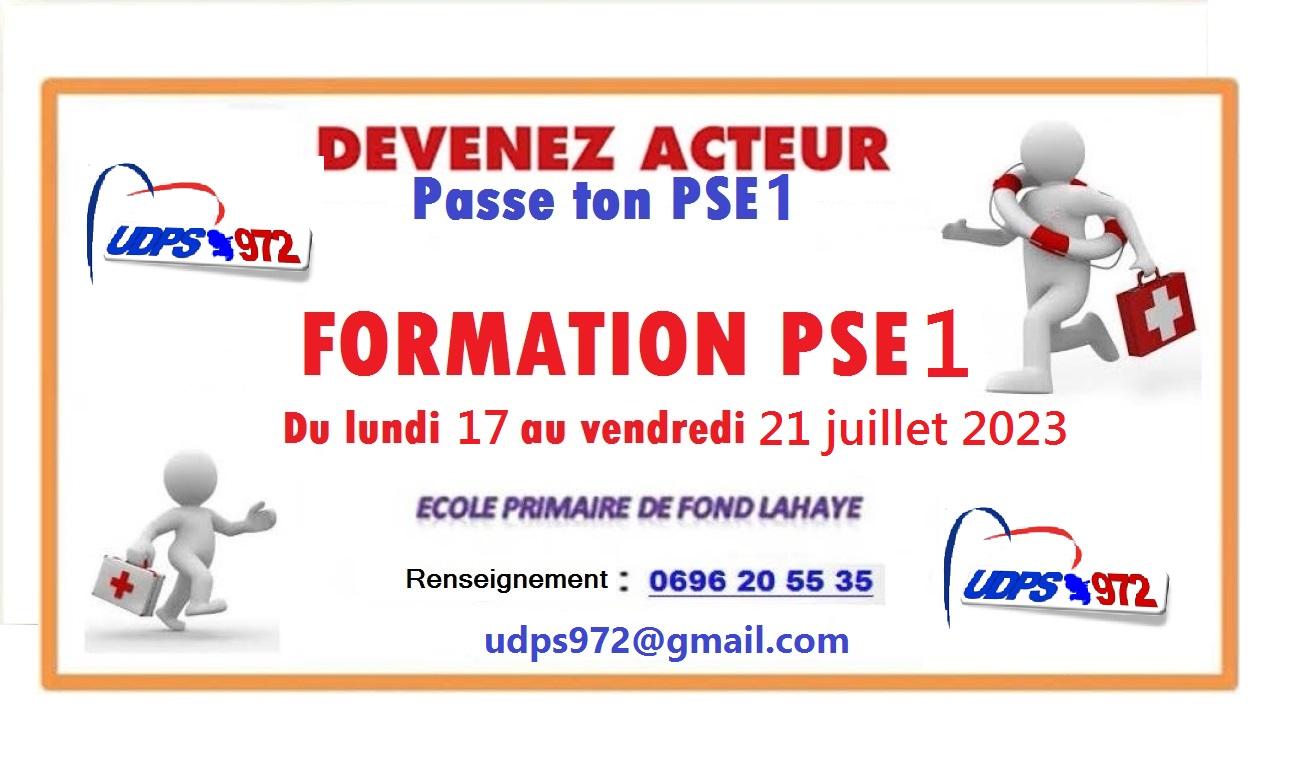 FORMATION INITIALE PSE1 2024